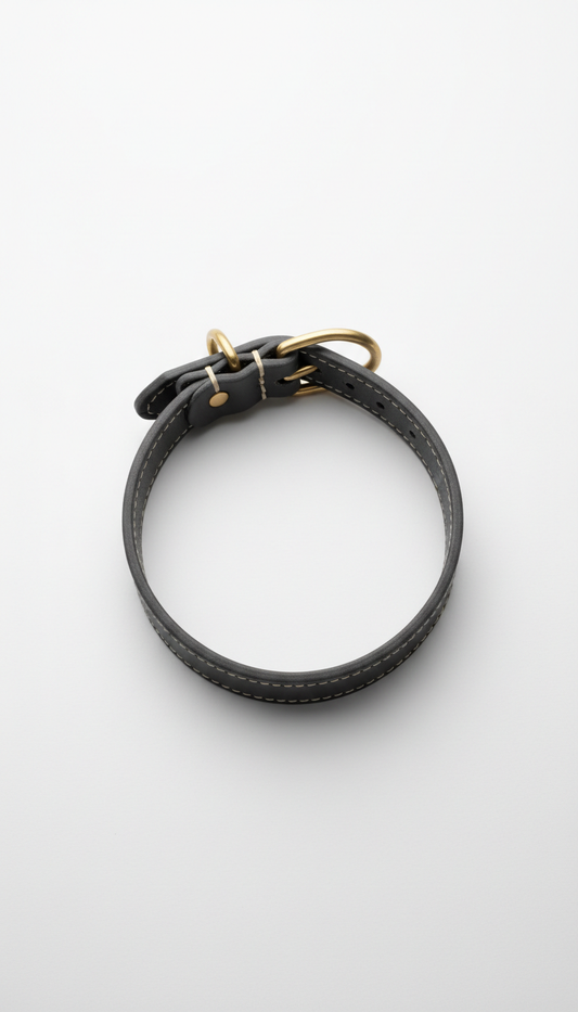 Leather collar with polished brass buckle